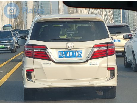 鄂A·W87W5, Honda Elysion