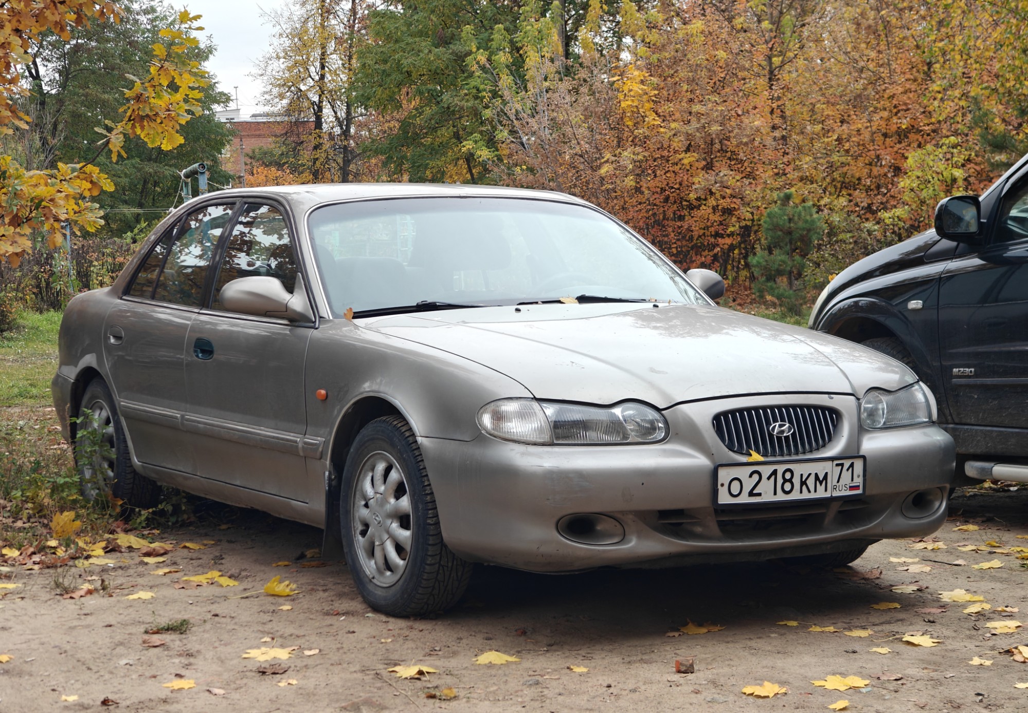 о 218 км 71, Hyundai Sonata 3rd gen (Y3), facelift, 1996–1999