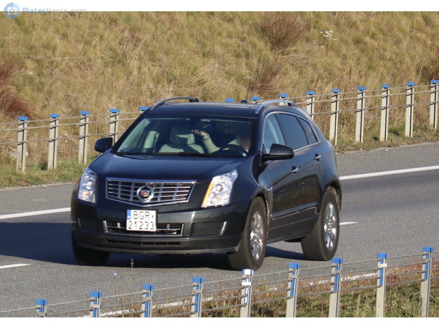 BGR 21233, Cadillac SRX 2nd gen (Theta/GMT166), 2009–2013