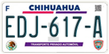 Chihuahua, Cars (AAA-000-A)