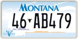 Montana, 1-AB1234 / 10-AB123