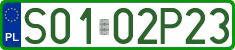 License plates of Poland, Professional plates