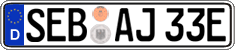 German license plate, Electric vehicles
