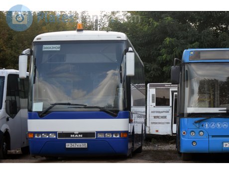 р347кв68, MAN S2000