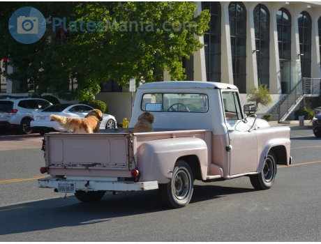 3O8 BKUP, International Pickup