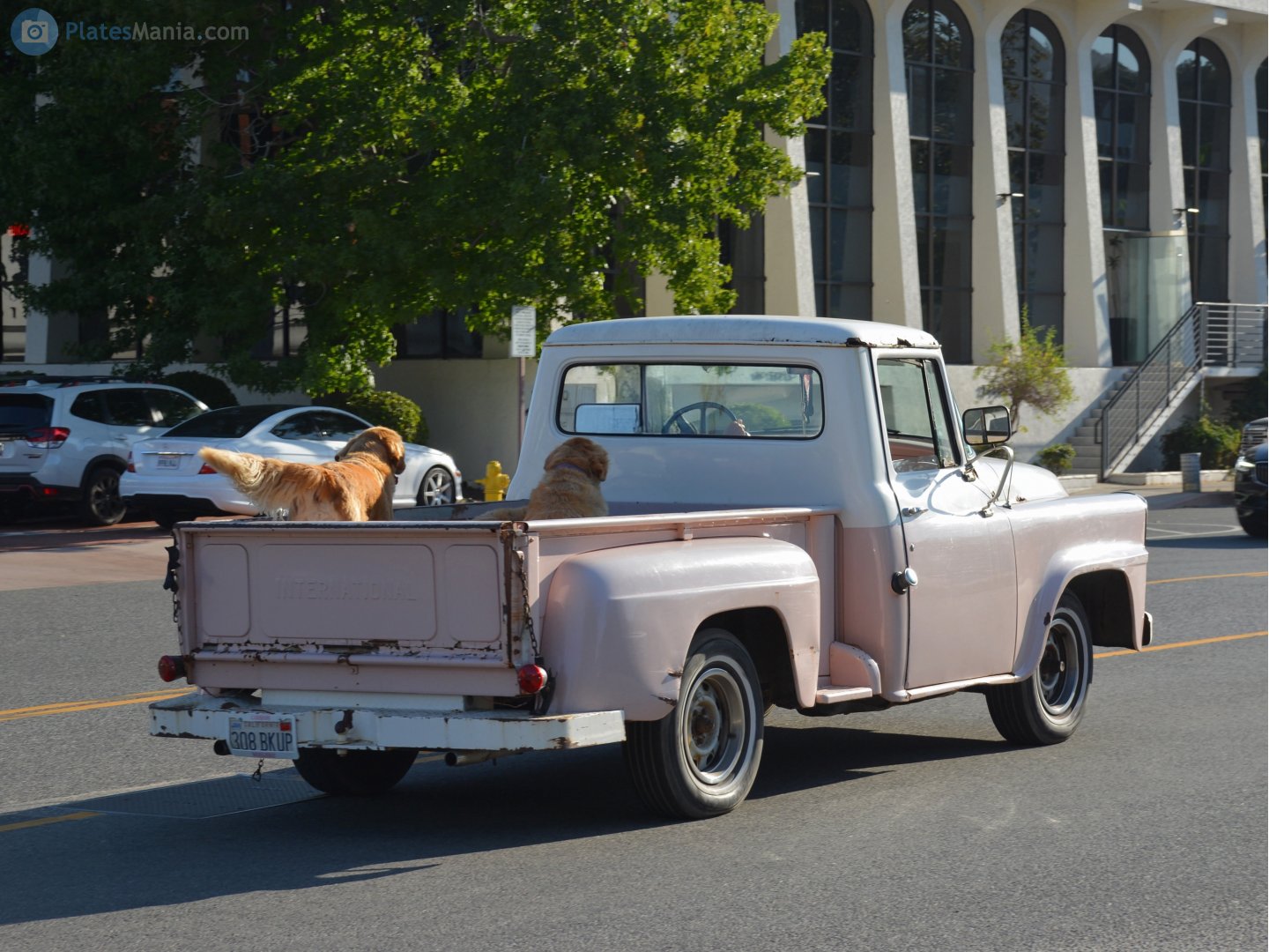 3O8 BKUP, International Pickup 