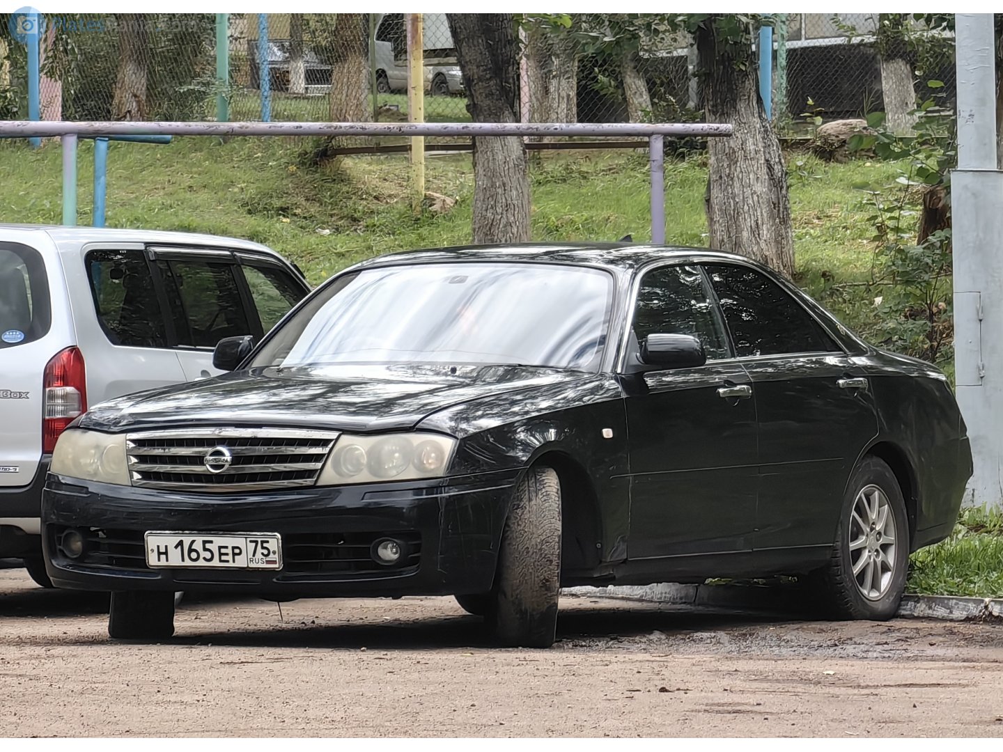 н 165 ер 75, Nissan Gloria 11th gen (Y34), 1999–2004
