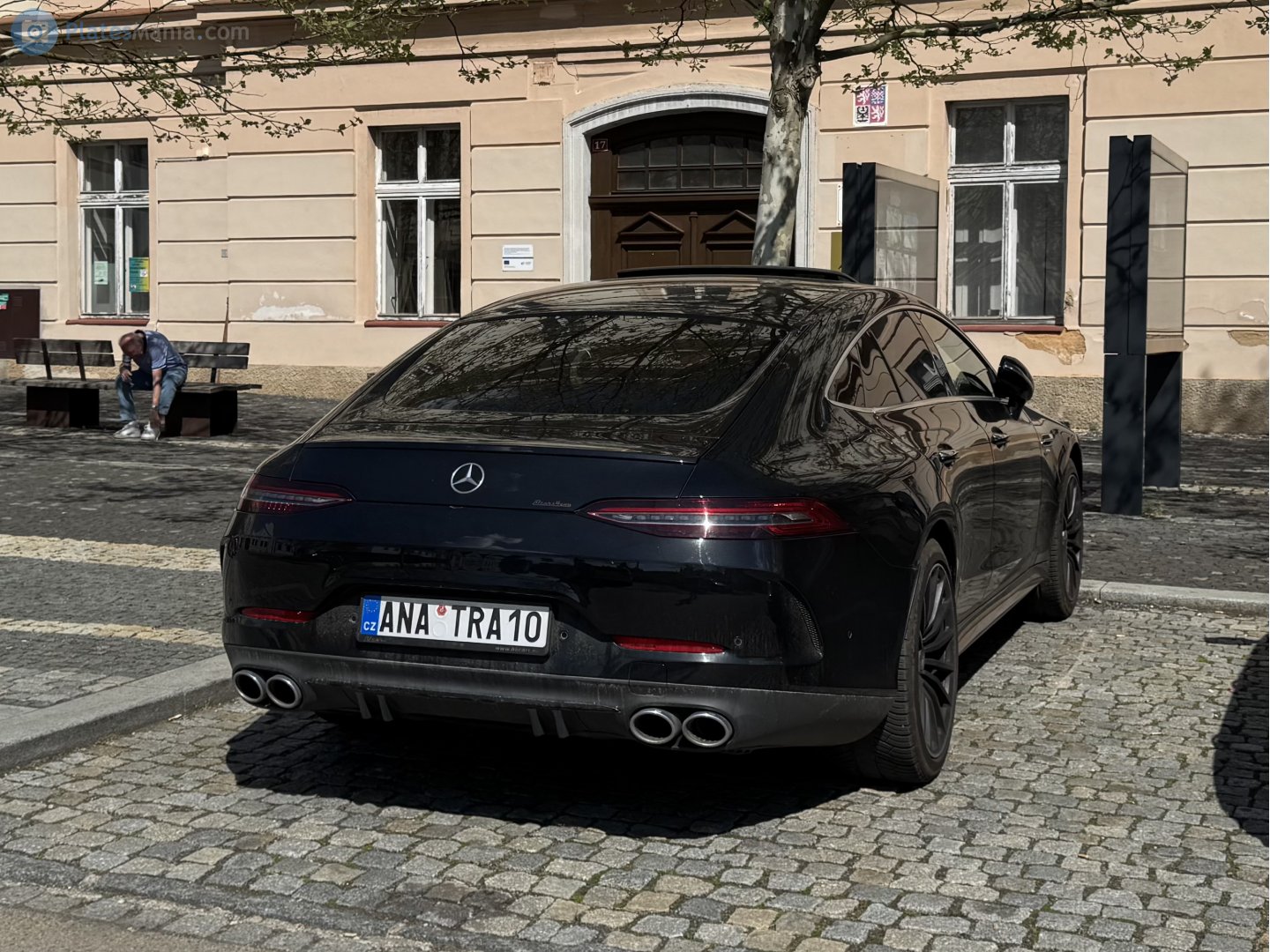 ANA TRA10, Mercedes-Benz AMG GT 4-door Coupé 1st gen (X290), 2018–