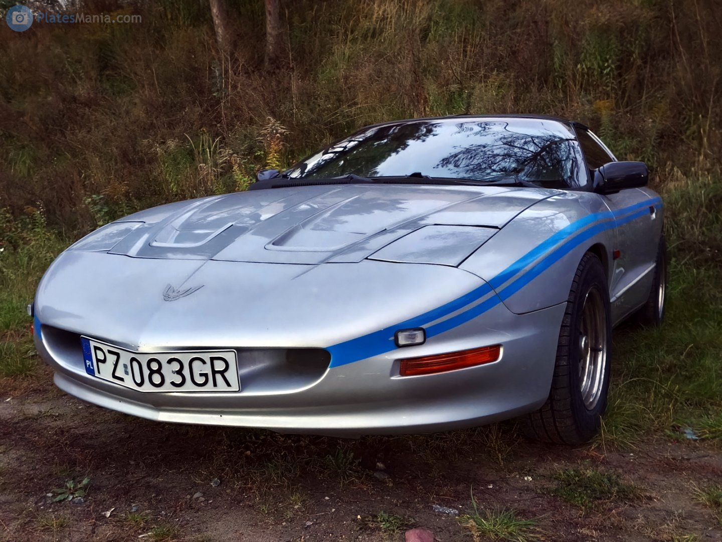 PZ 083GR, Pontiac Firebird 4th gen Targa (87; F-body), facelift, 1997–2002