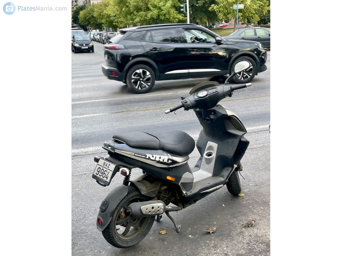 BAZ 9964, Piaggio NRG 2nd gen, 1999–2020