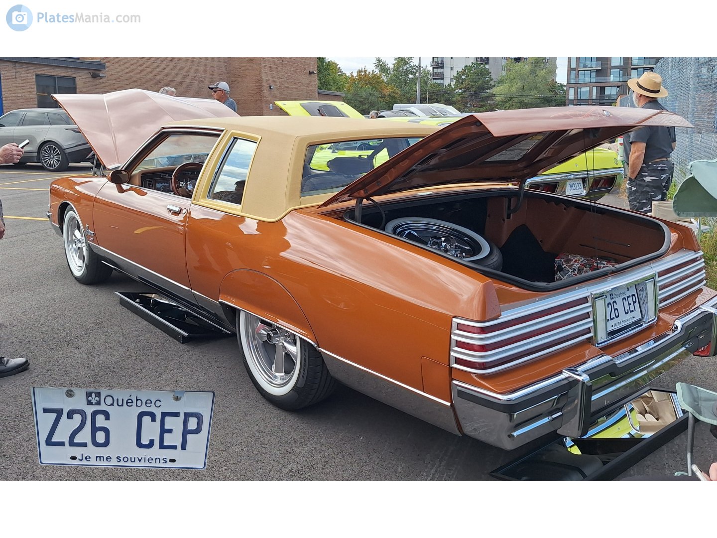 Z26 CEP, Pontiac Parisienne 5th gen, 1977-1986