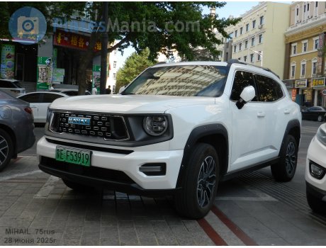 蒙E·F53919, Haval Dargo (Dagou / Big Dog)