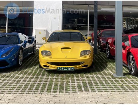 P 2544 BDN, Ferrari 550