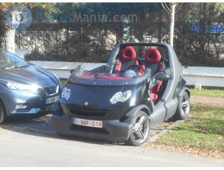 1-WWF-018, Smart Crossblade