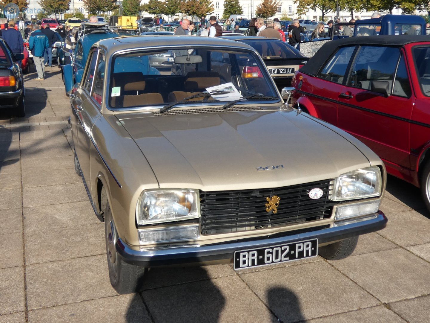 BR-602-PR, Peugeot 304 1st gen Sedan (D), 1969–1979