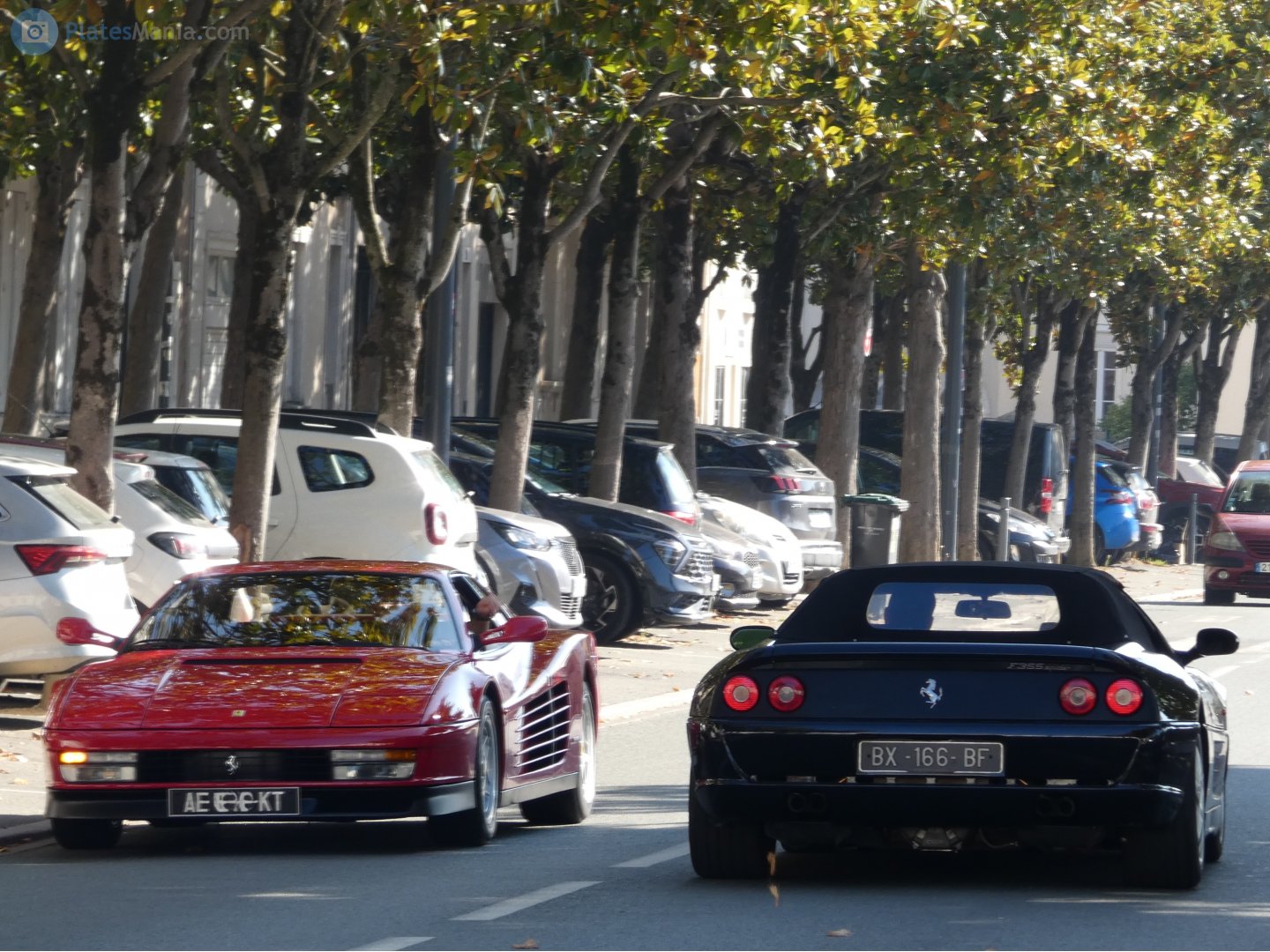 BX-166-BF, Ferrari F355 1st gen Spider (F129), 1995–2000
