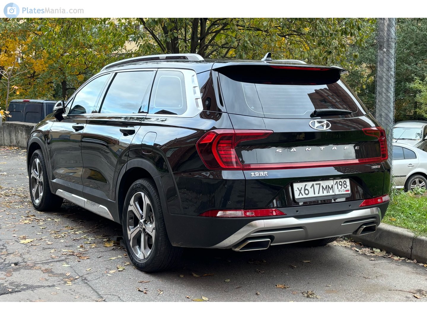 х 617 мм 198, Hyundai Santa Fe 4th gen (TM; CN-market), 2019–2022