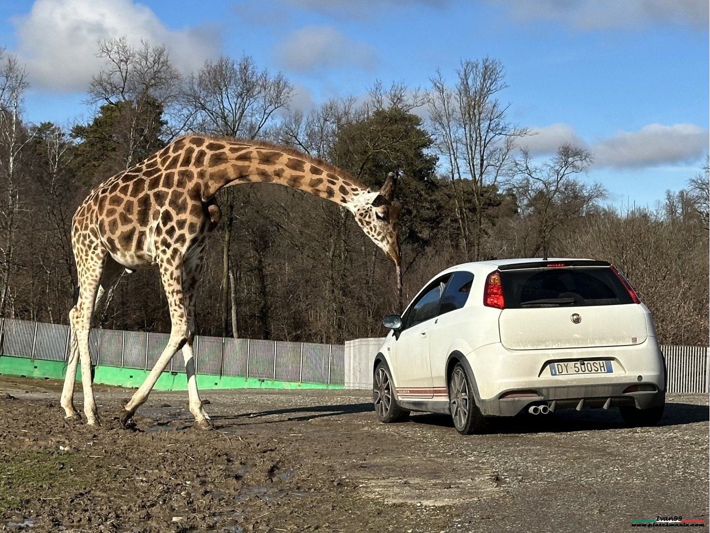 DY 500 SH, Abarth Grande Punto 1st gen (199), 2007–2010