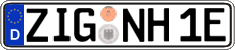 German license plate, Electric vehicles