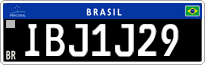 IBJ1J29