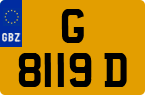 G 8119 D