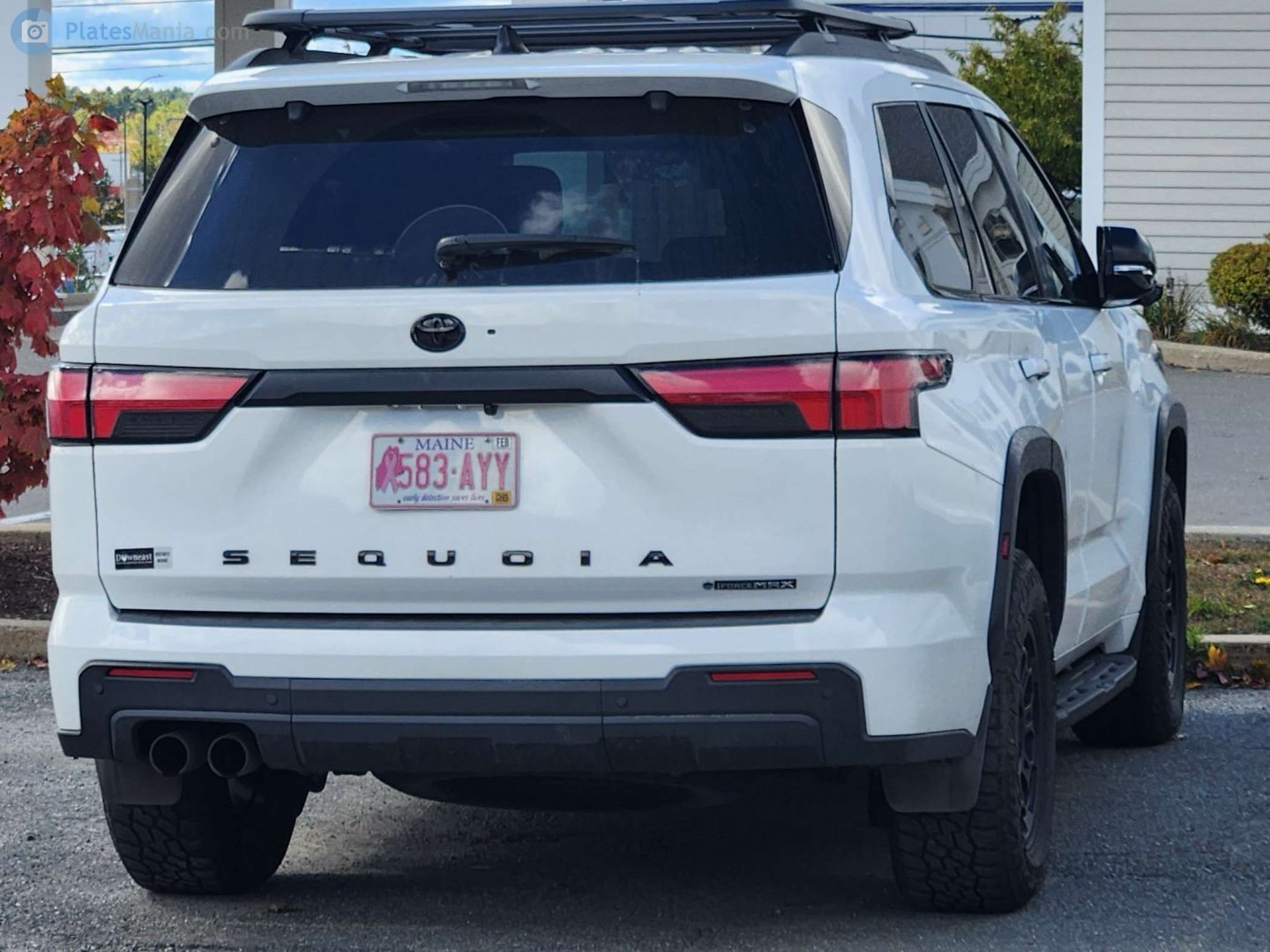 583-AYY, Toyota Sequoia 3rd gen (XK80), 2022–