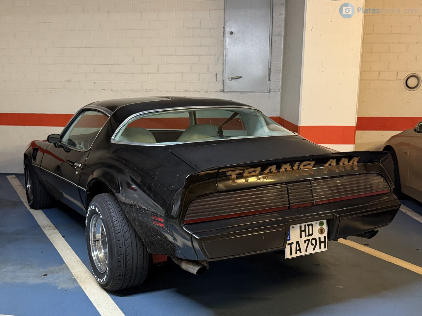 HD TA 79 H, Pontiac Firebird 2nd gen Targa (87; F-body), 3rd facelift, 1978–1981