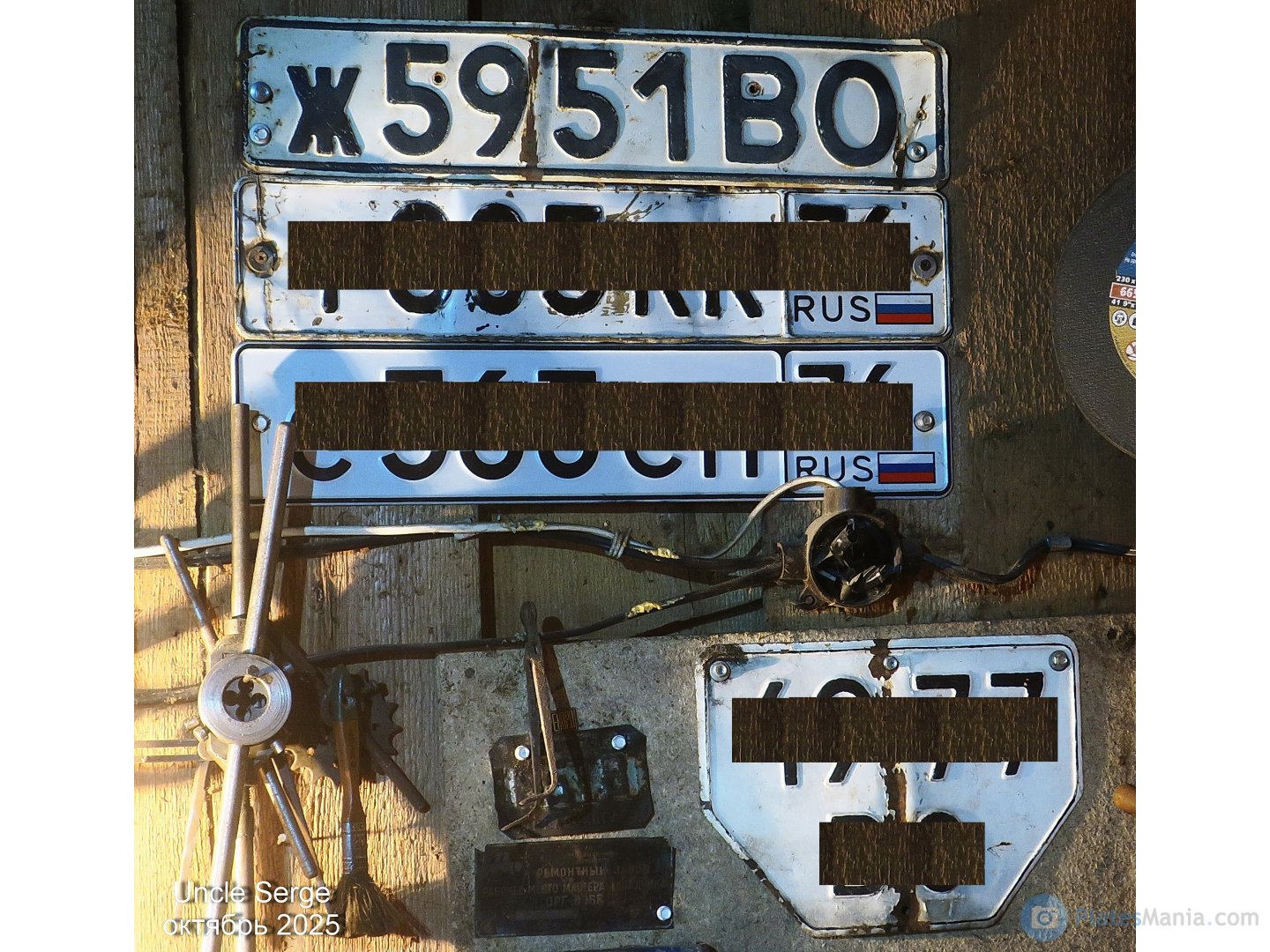 ж 5951 ВО, License plate without vehicle 