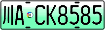 License plate of China, Electric vehicles