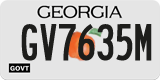 Georgia, Government (GV1234X)