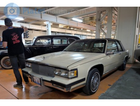 254 6815, License plate without vehicle