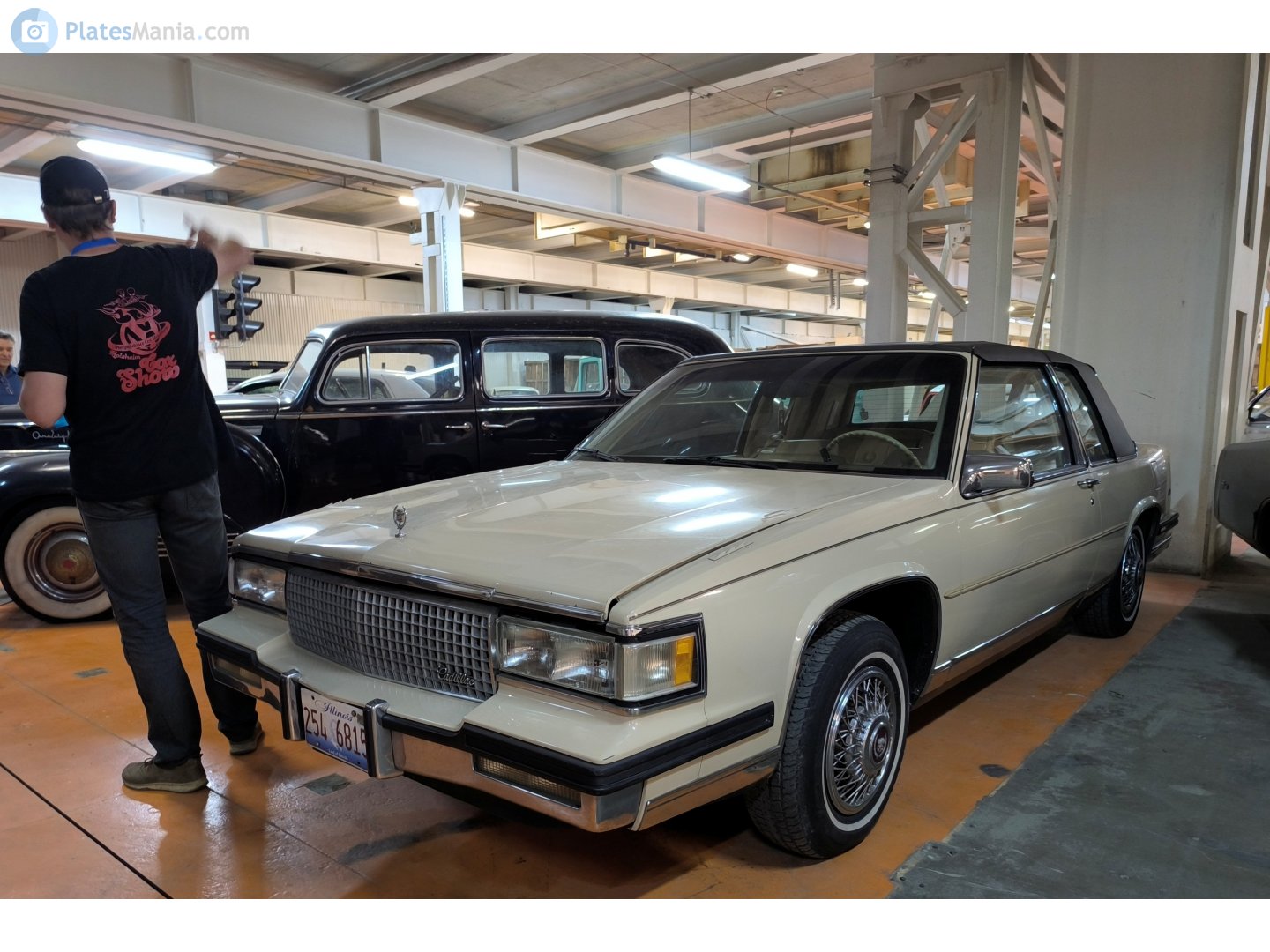 254 6815, License plate without vehicle 