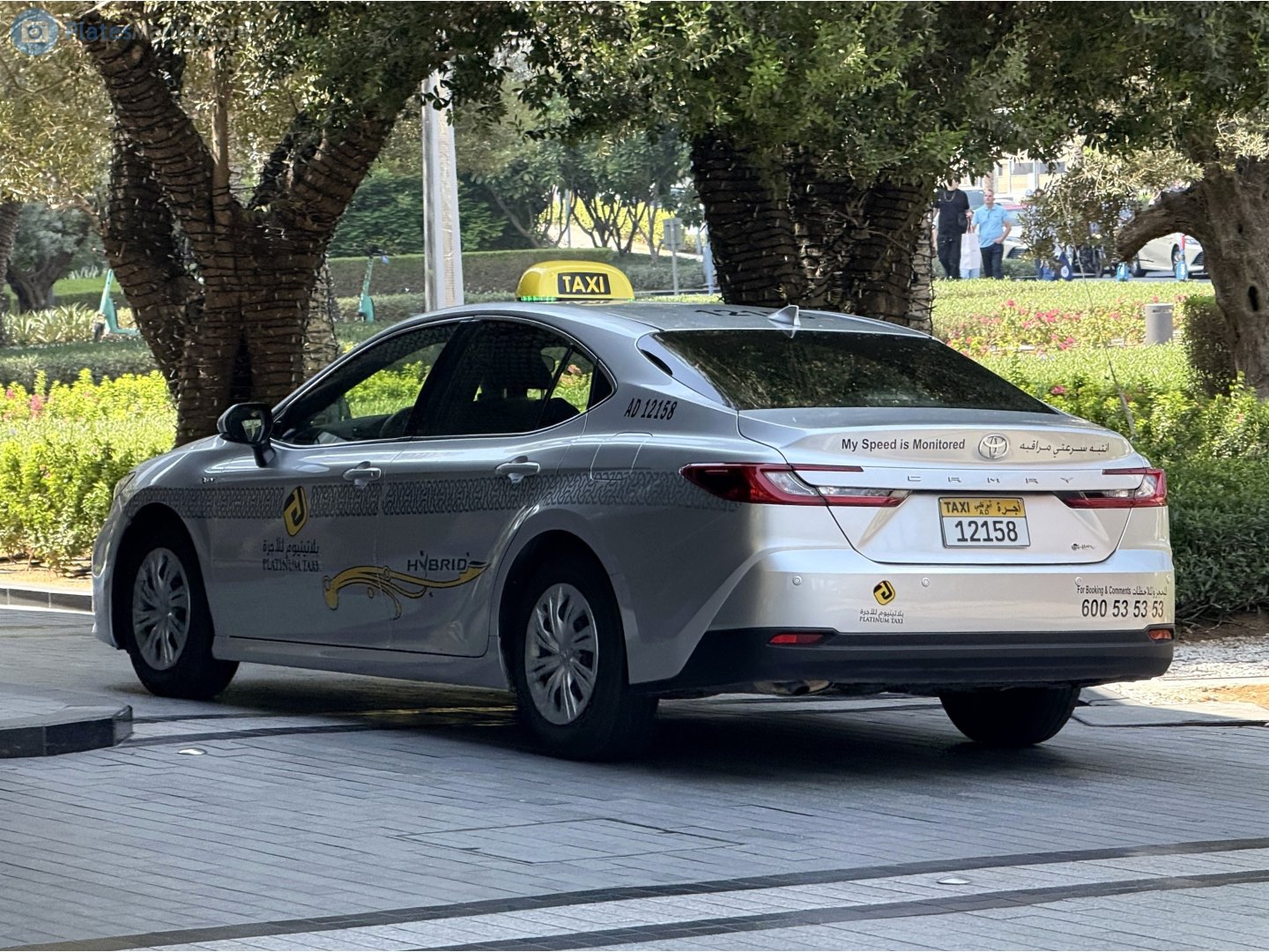 12158, Toyota Camry 9th gen (XV80), 2024–