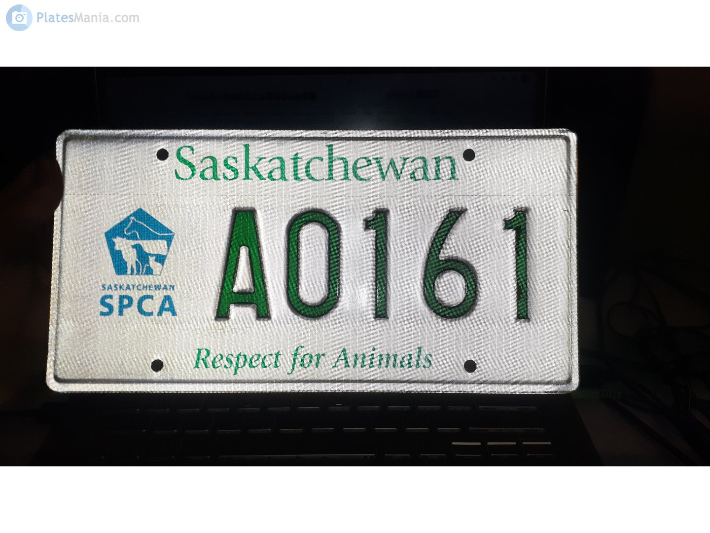 A0161, License plate without vehicle 