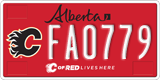 Alberta, Calgary Flames (FA1234)