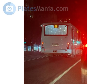 х285хс31, PAZ 3203/3204