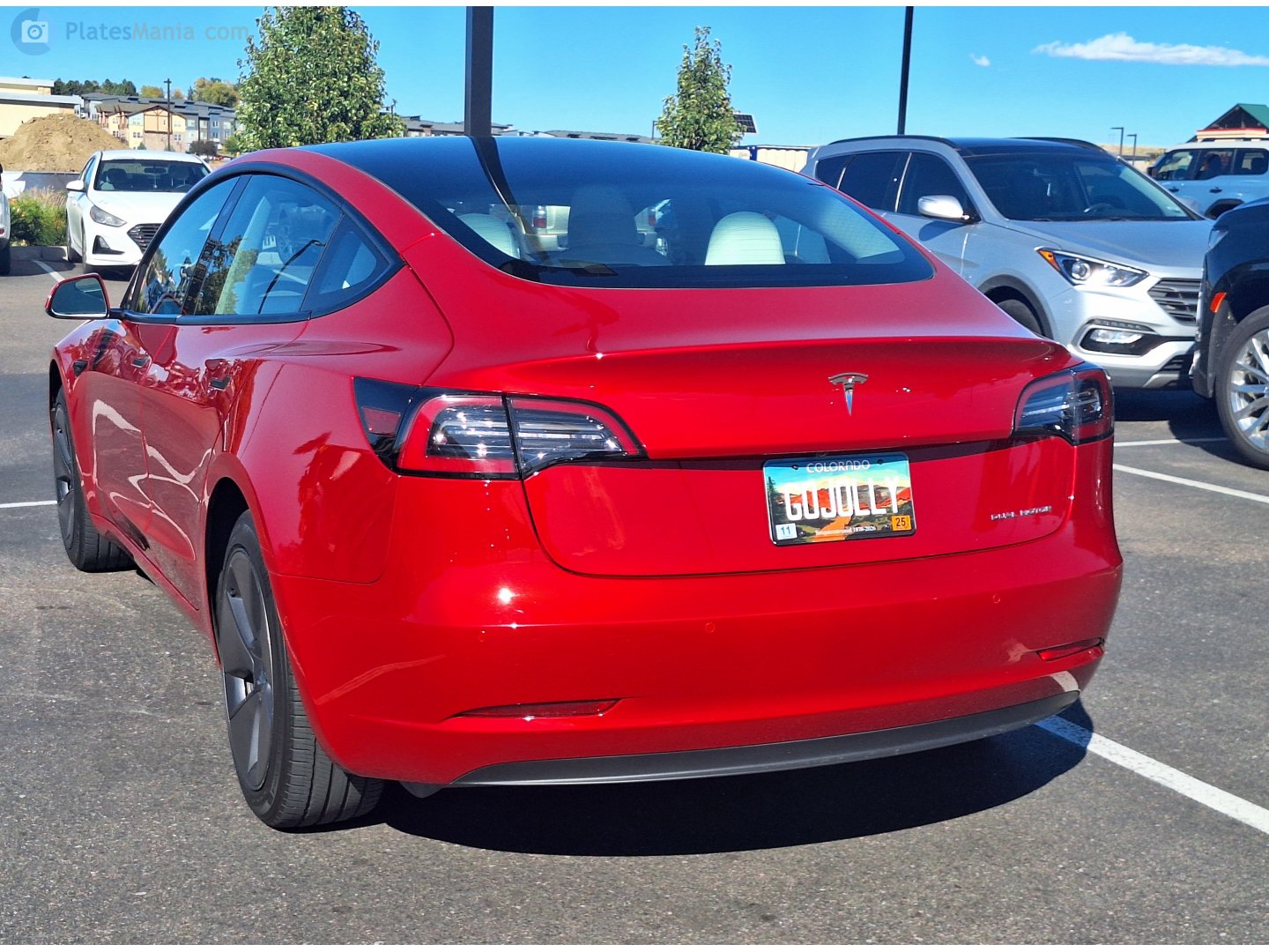 GOJOLLY, Tesla Model 3 1st gen (5YJ3), 2017–2023