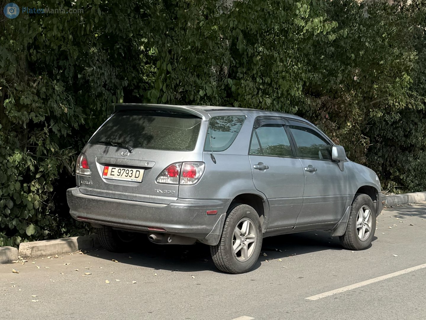 E 9793 D, Lexus RX 1st gen (XU10), 1998–2003