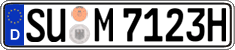 German license plate, Plates for oldtimers (type 