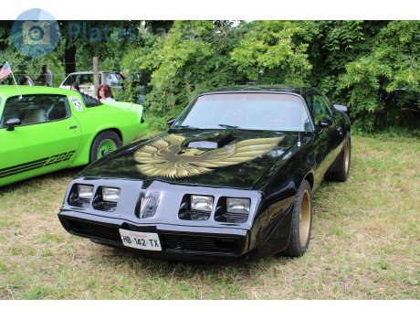 HB-142-TX, Pontiac Firebird