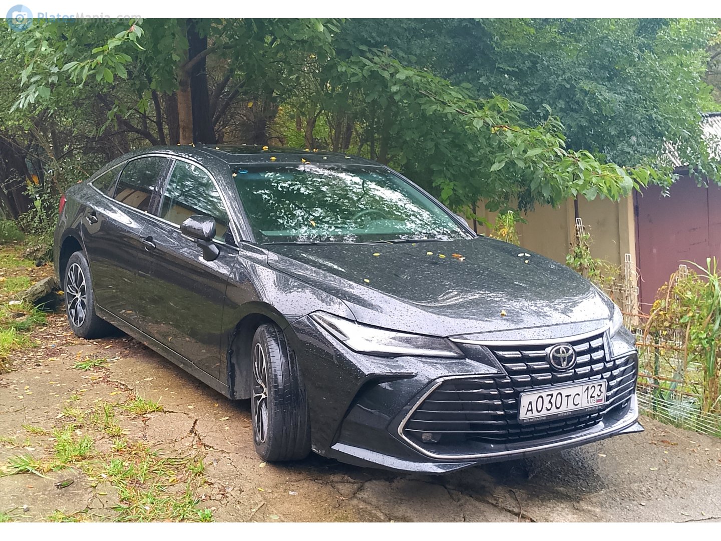 а 030 тс 123, Toyota Avalon 