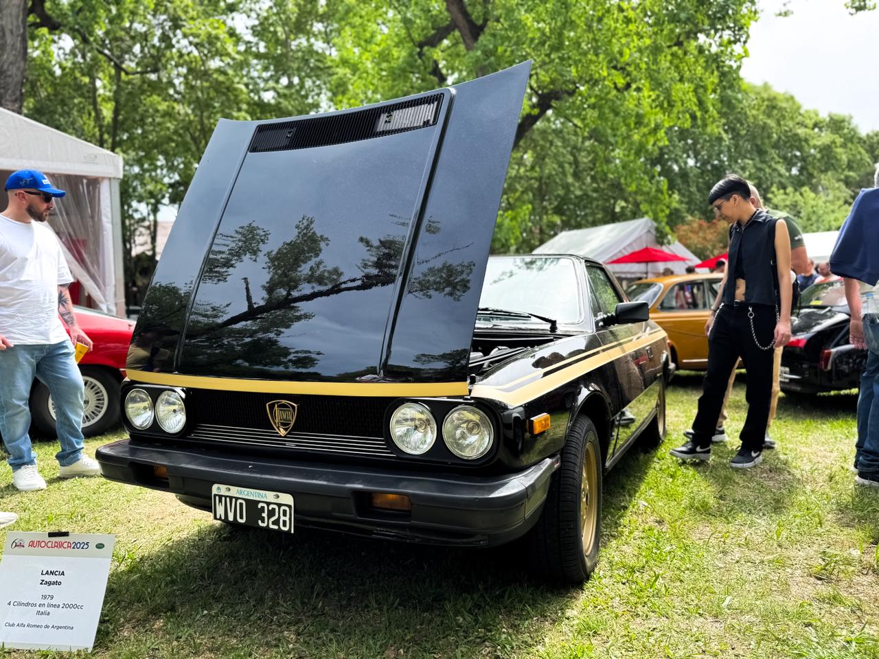 WVO 328, Lancia Beta 1st gen Targa (828), 1974–1981