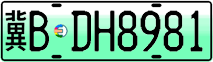 License plate of China, Electric vehicles