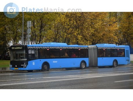 нт 225 77, LiAZ 6213