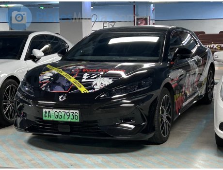 津A·GG7936, Denza (Tengshi) Z9