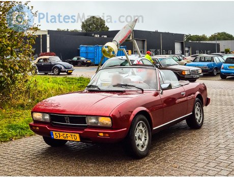 57-GF-TD, Peugeot 504