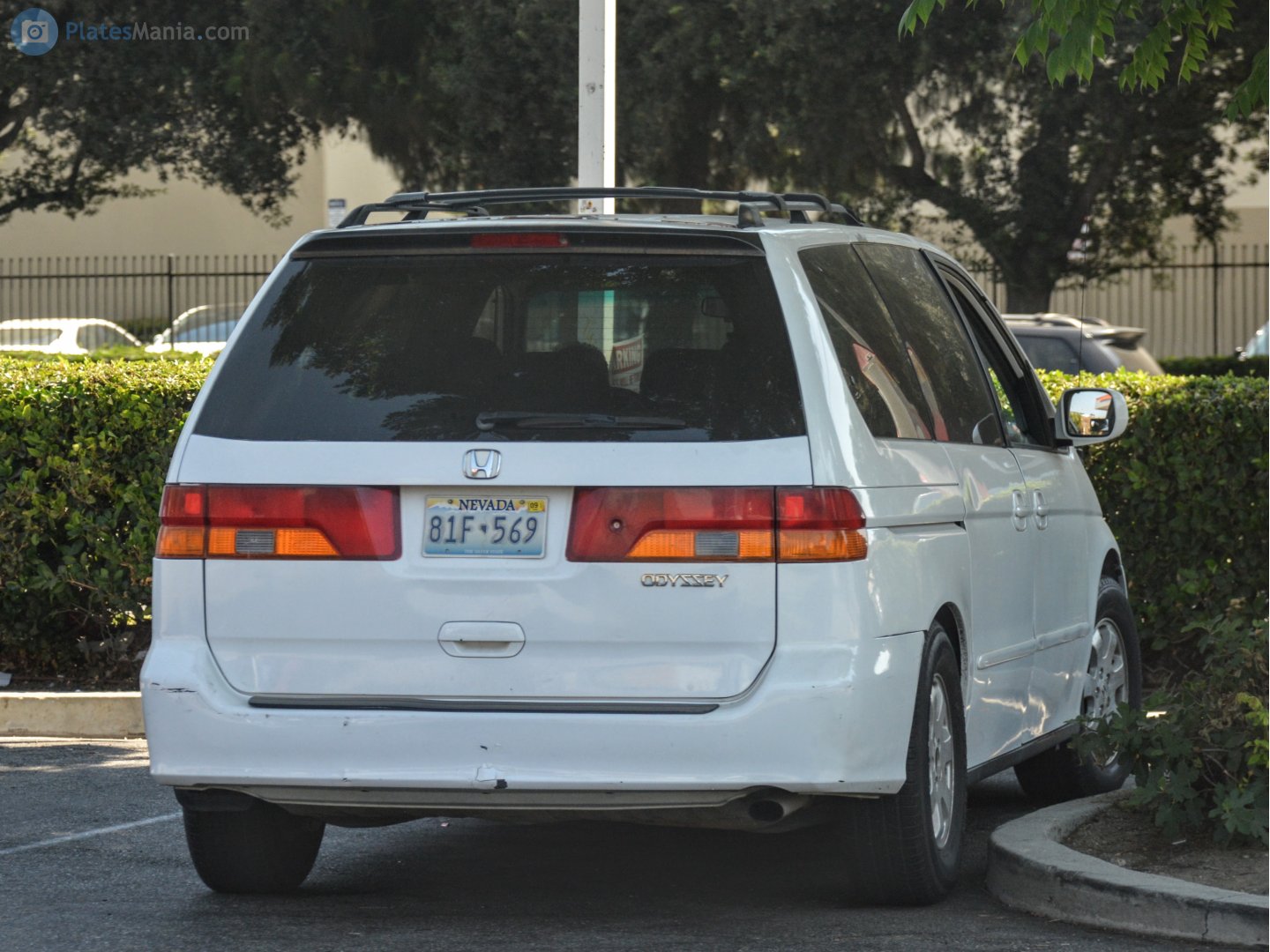 81F-569, Honda Odyssey 2nd gen (RL1; NA-market), 1998–2004
