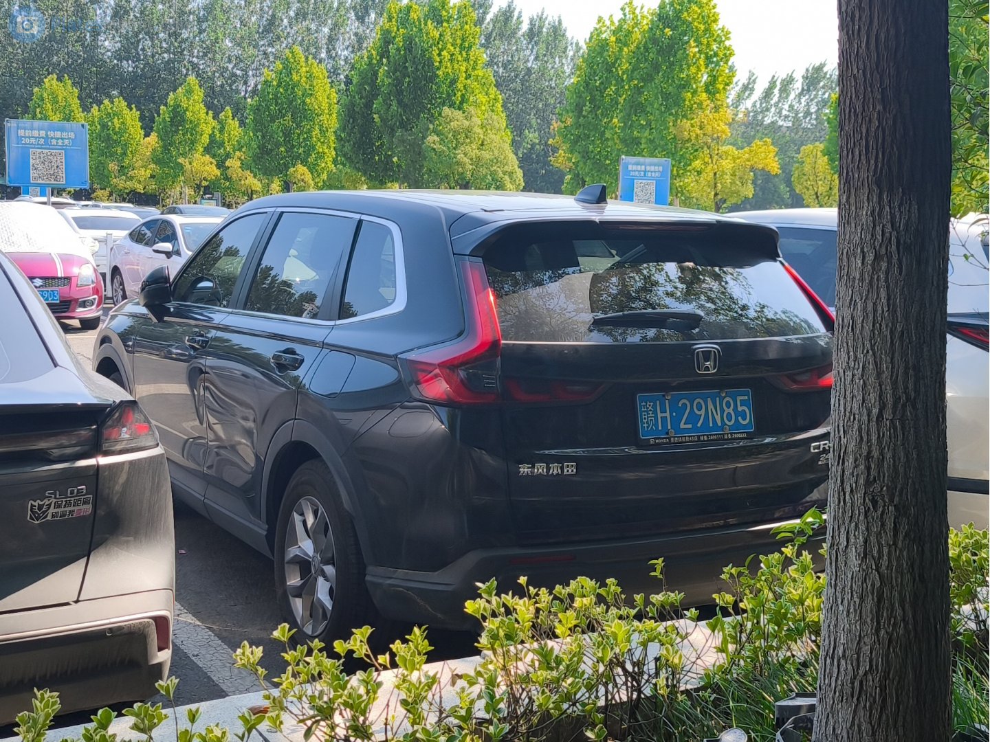 赣H·29N85, Honda CR-V 6th gen (RS), 2022–