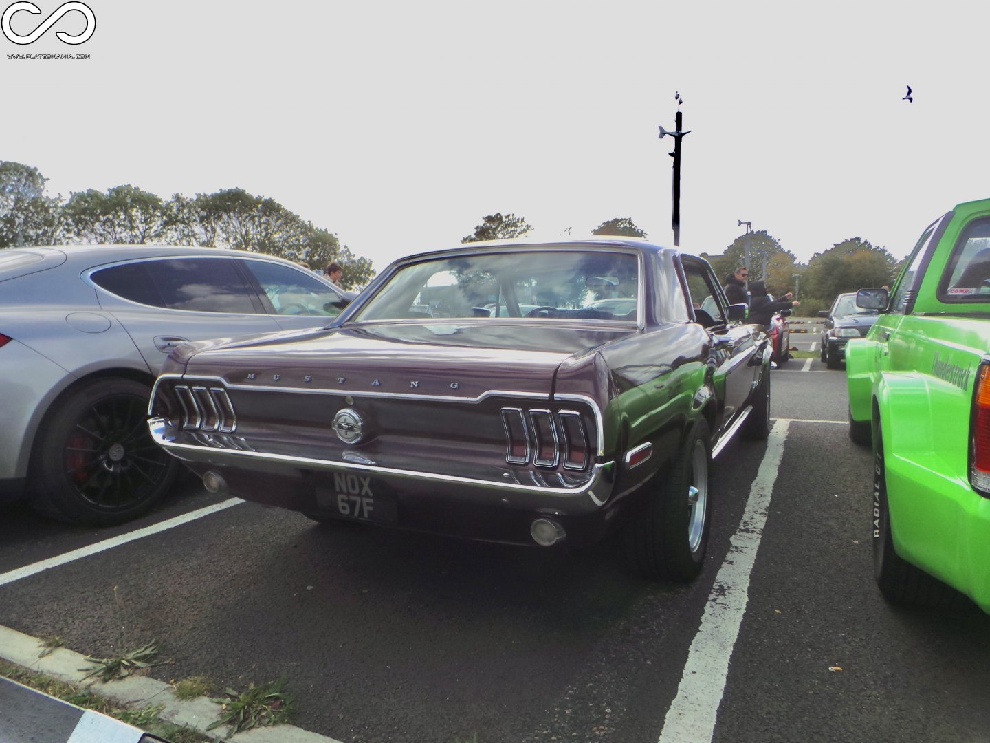 NOX67F, Ford Mustang 