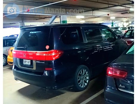 SOP-167, Honda Elysion